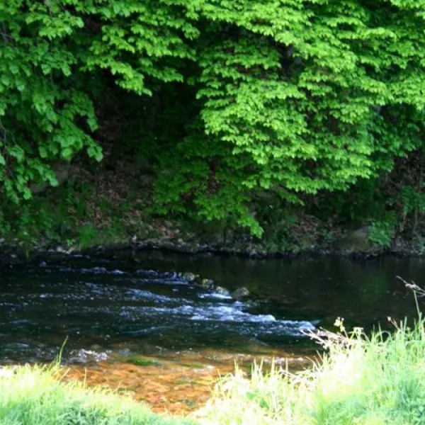 campingplatz-auenland-lahntalbrungershausen-ewoka