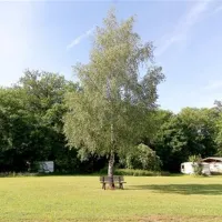 Camping Polisina