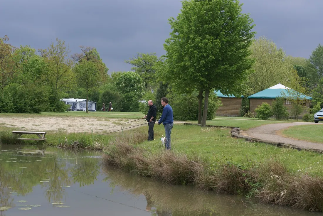 camping-de-donkershoeve-sint-oedenrode-a8ejl