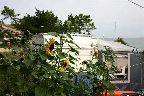 campingin-kanegra-fkk-umag-qbzpd