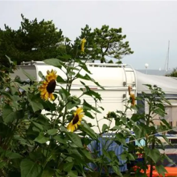 campingin-kanegra-fkk-umag-qbzpd