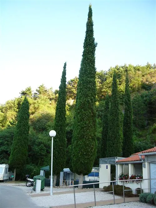campingin-kanegra-fkk-umag-xdhk4