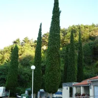 campingin-kanegra-fkk-umag-xdhk4