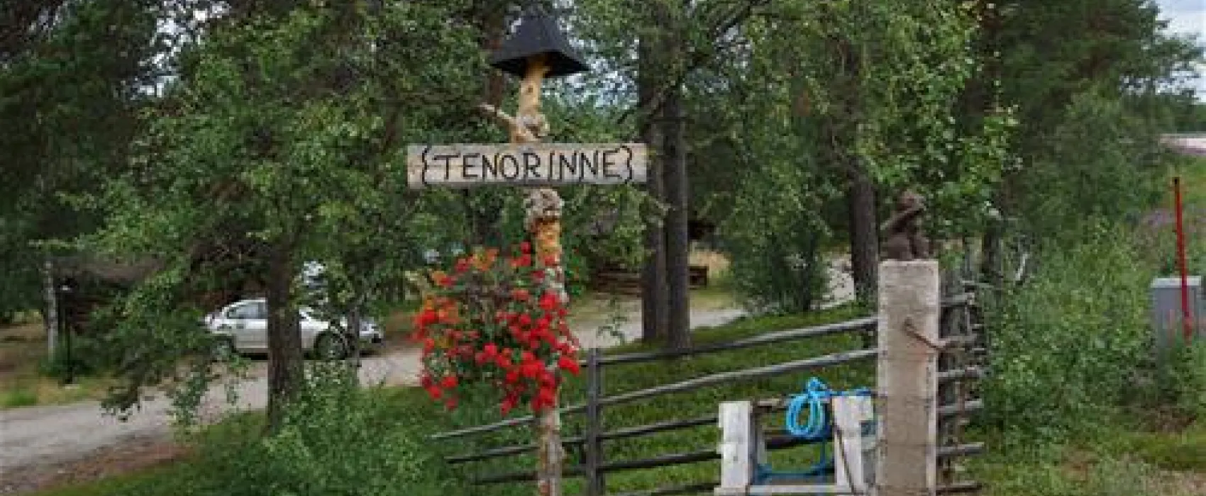 Tenorinne Camping
