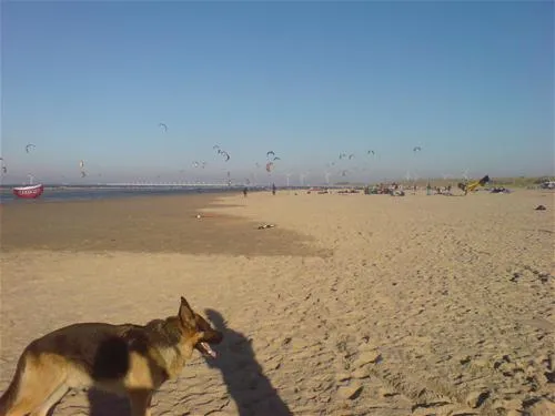 camping-elzenoord-vrouwenpolder-ai6pq