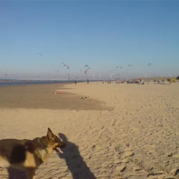 camping-elzenoord-vrouwenpolder-ai6pq