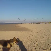 camping-elzenoord-vrouwenpolder-ai6pq