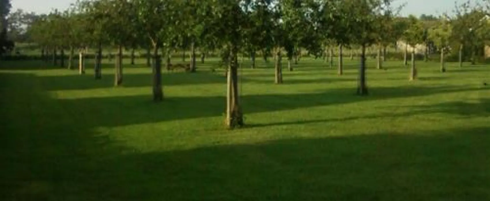 Camping Elzenoord