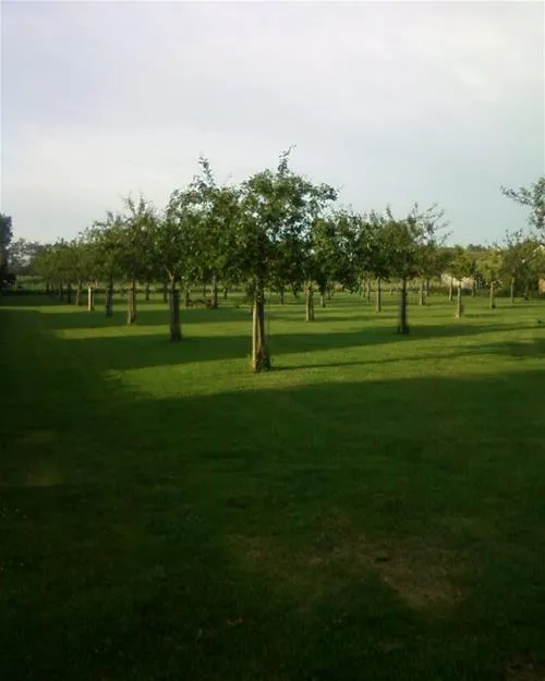 camping-elzenoord-vrouwenpolder-bwtcr