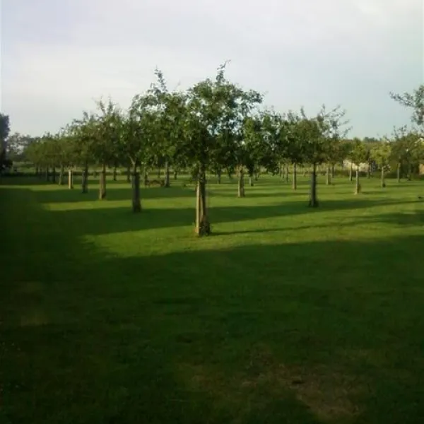 Camping Elzenoord
