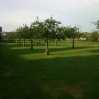 camping-elzenoord-vrouwenpolder-bwtcr