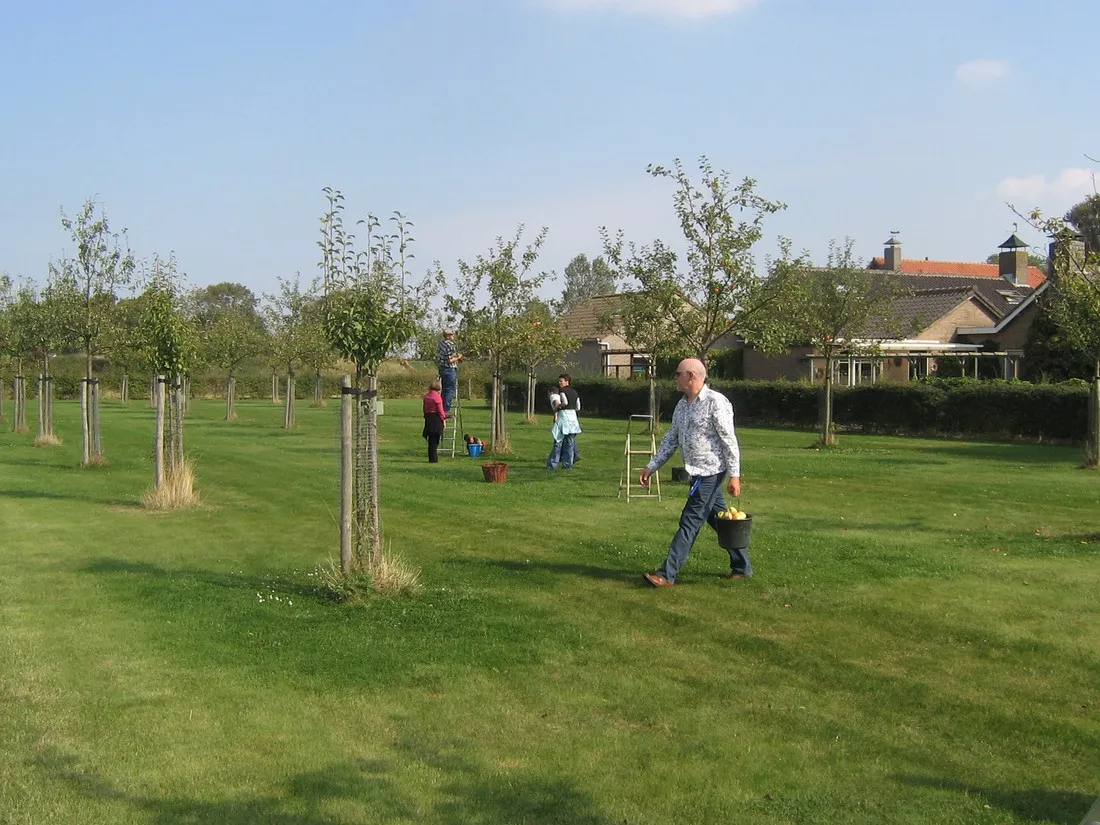 camping-elzenoord-vrouwenpolder-pqtnk