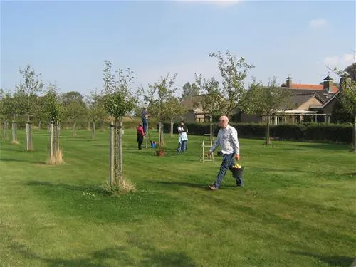 camping-elzenoord-vrouwenpolder-sts1o