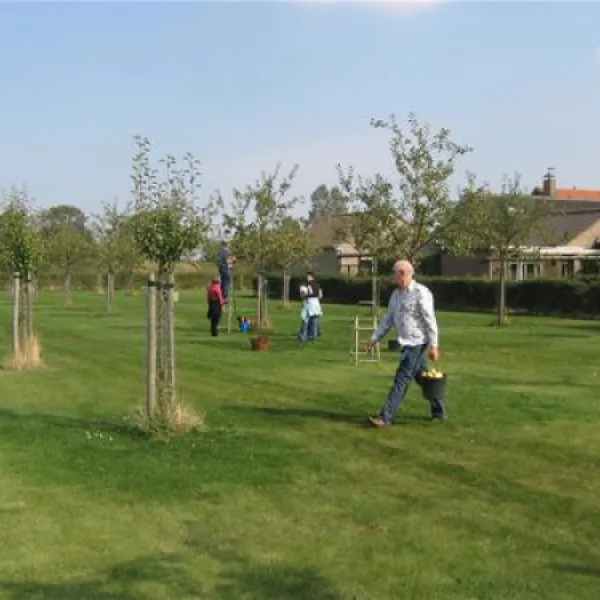 camping-elzenoord-vrouwenpolder-sts1o