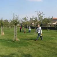 camping-elzenoord-vrouwenpolder-sts1o