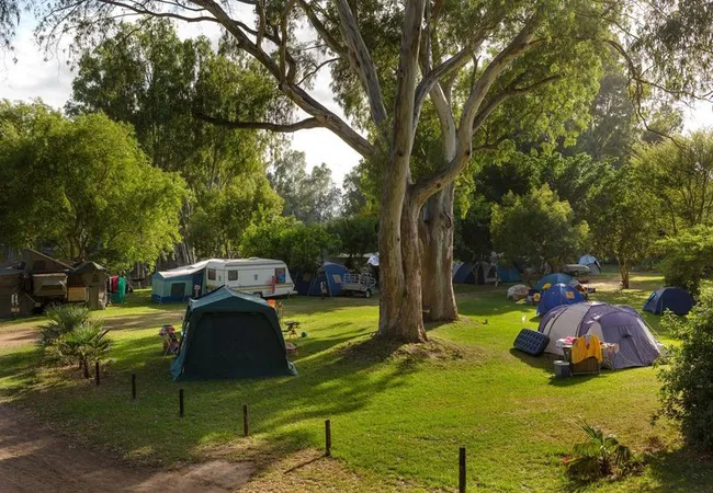 bonnievale-campsite-bonnievale-9l7hk