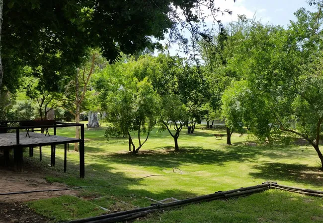 bonnievale-campsite-bonnievale-fkhqa