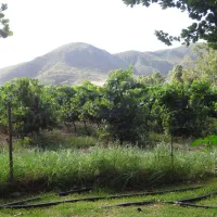 bonnievale-campsite-bonnievale-mglvk