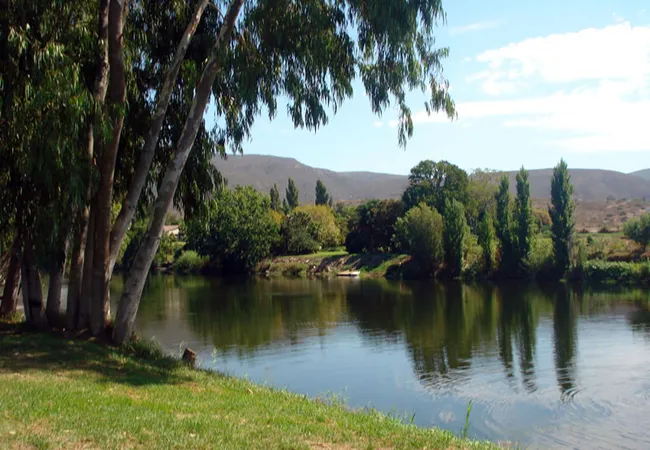 bonnievale-campsite-bonnievale-zxekk
