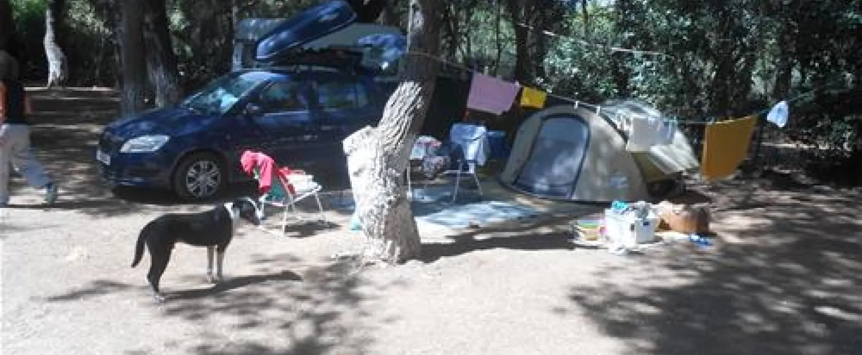 Camping Dionissotis