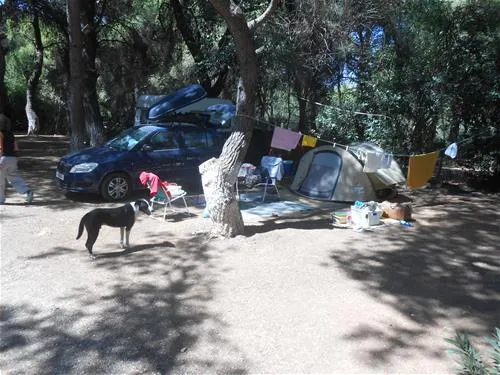 camping-dionissotis-nkifissia-axg5l