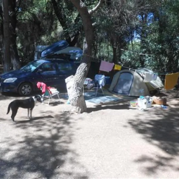 camping-dionissotis-nkifissia-axg5l