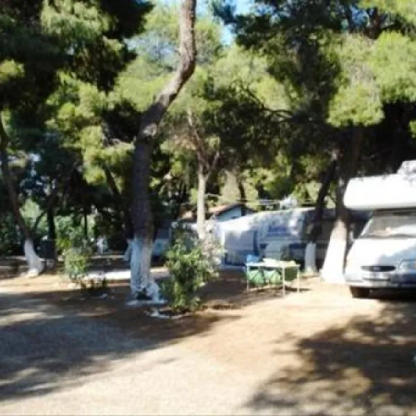 camping-dionissotis-nkifissia-bkuqt