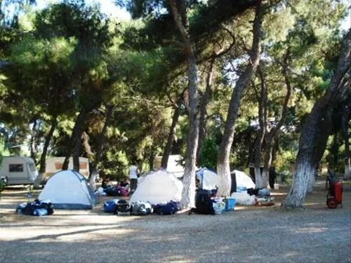 camping-dionissotis-nkifissia-cidar