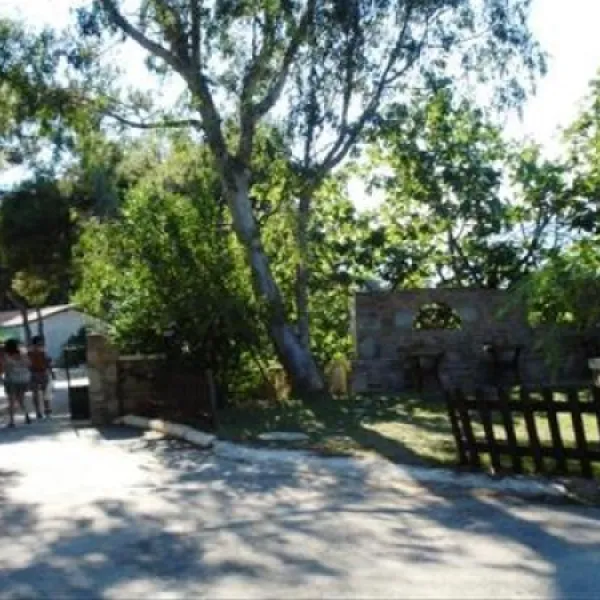 camping-dionissotis-nkifissia-gm4zl