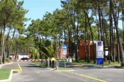 parque-de-campismo-da-vagueira-vagos-vagueira-vagos-rqwj8