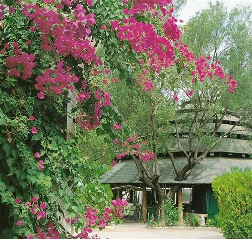 res-e-parco-pisacane-villamare-6ztny