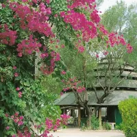 Res. e Parco Pisacane