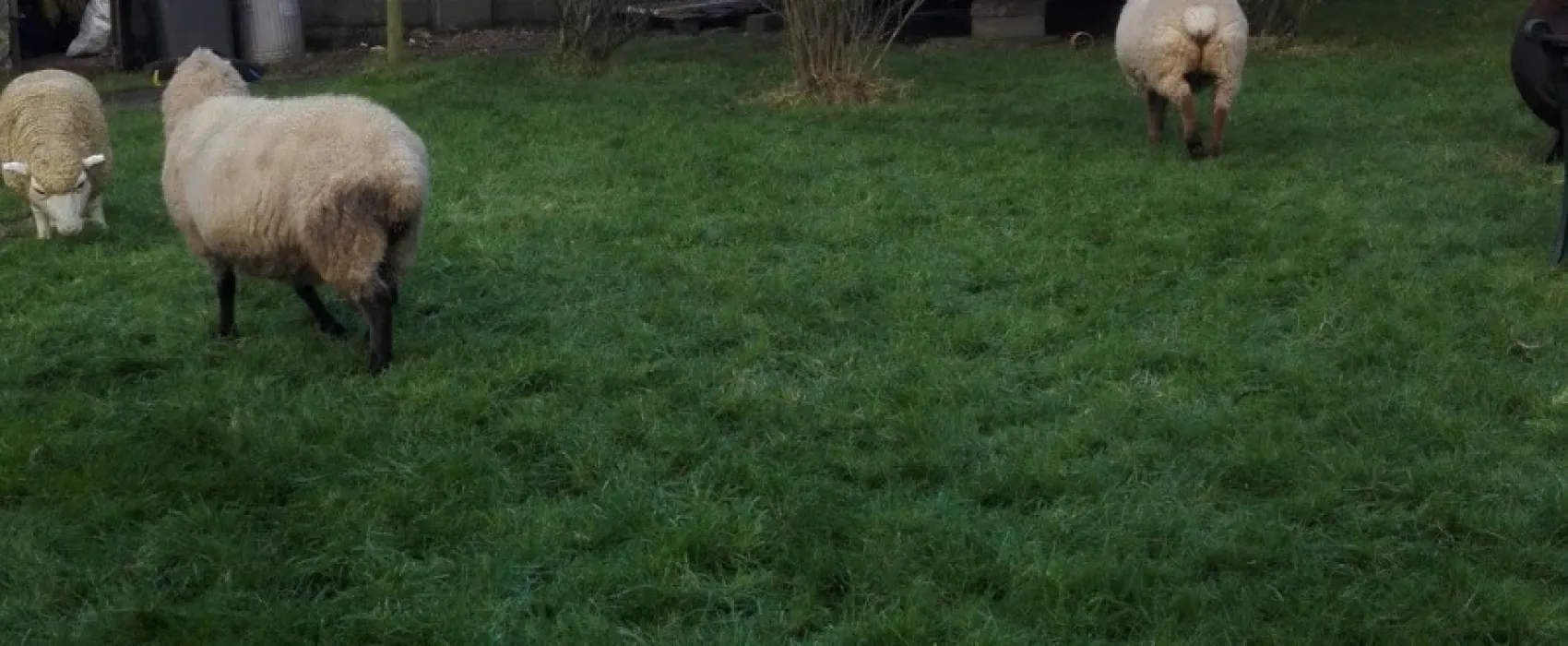 Saltern Caravan Park