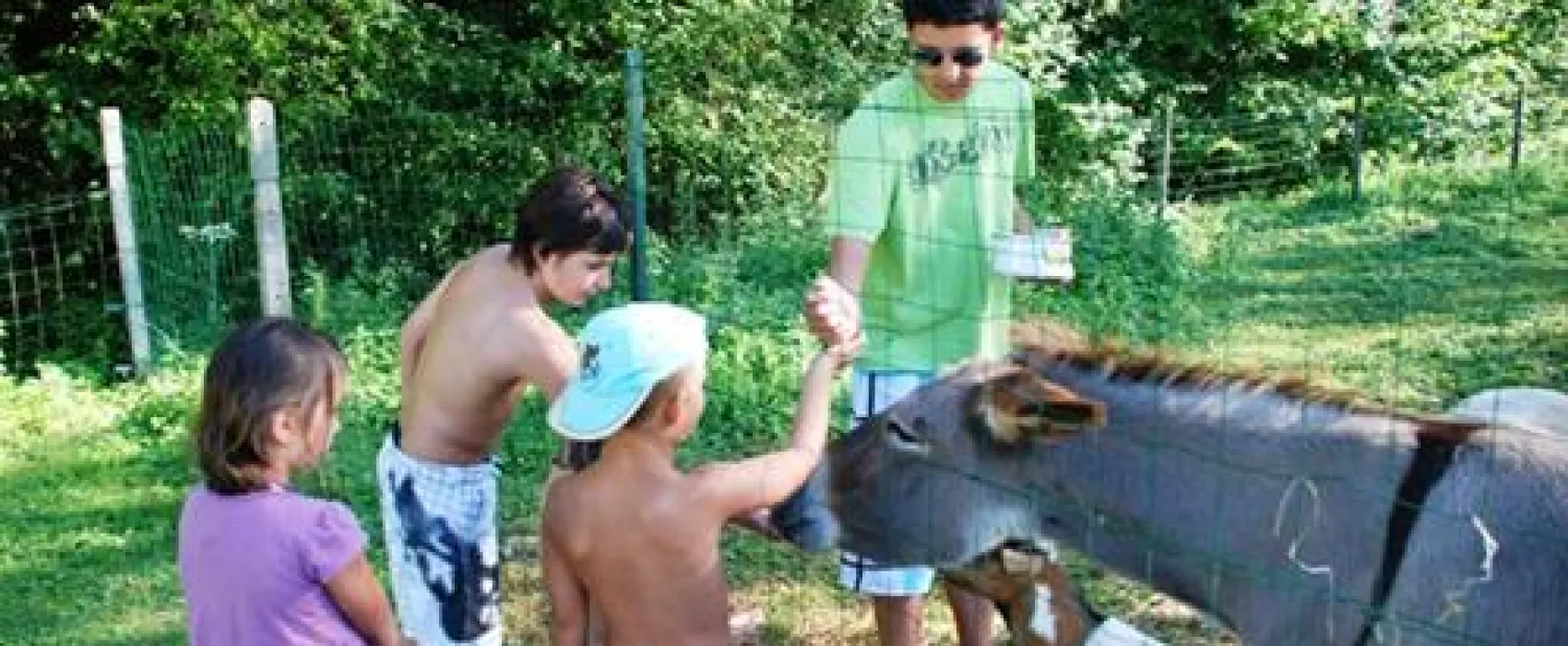 Camping Village le Moulin de Surier ****
