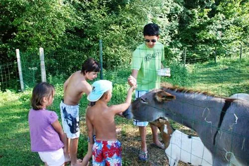 camping-village-le-moulin-de-surier-beaumontduprigord-xcnzp