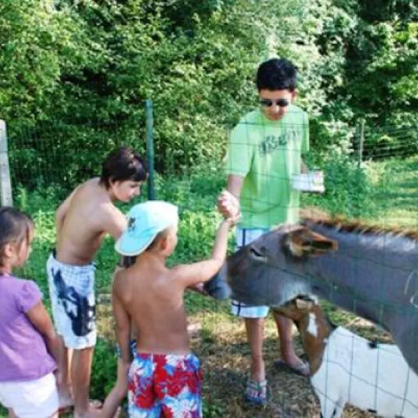 camping-village-le-moulin-de-surier-beaumontduprigord-xcnzp