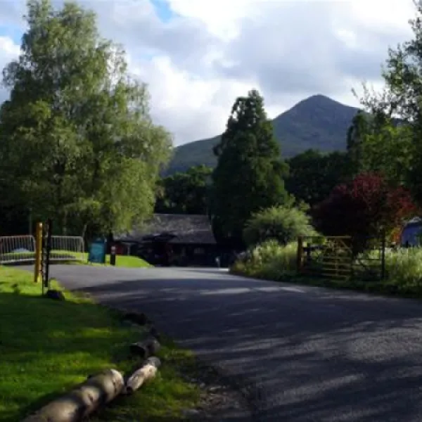 beddgelert-forest-c-c-site-beddgelert-bodjr