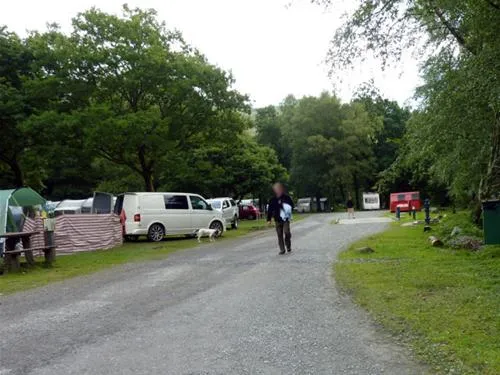 beddgelert-forest-c-c-site-beddgelert-zo9in