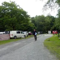 beddgelert-forest-c-c-site-beddgelert-zo9in