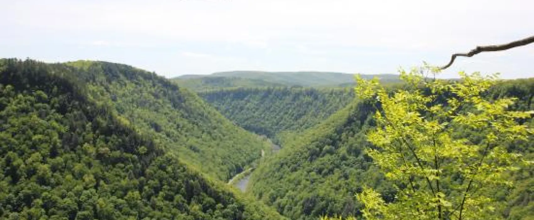 Twin Streams Campground