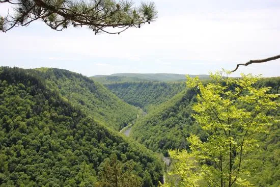 twin-streams-campground-morris-kenj1