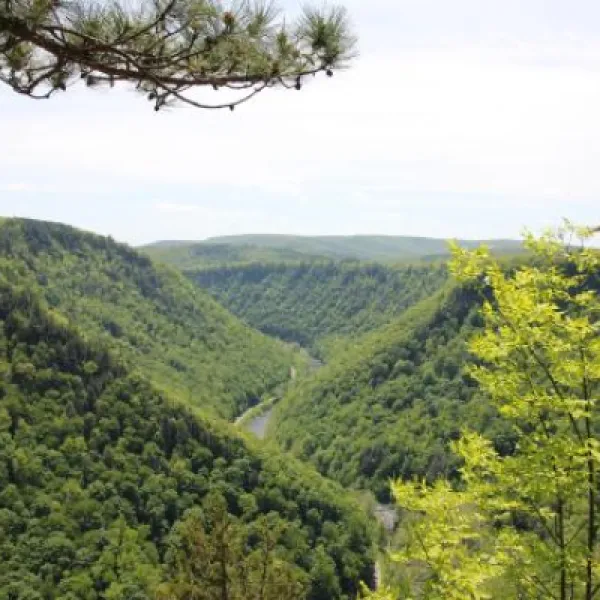 twin-streams-campground-morris-kenj1