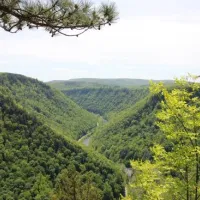 Twin Streams Campground