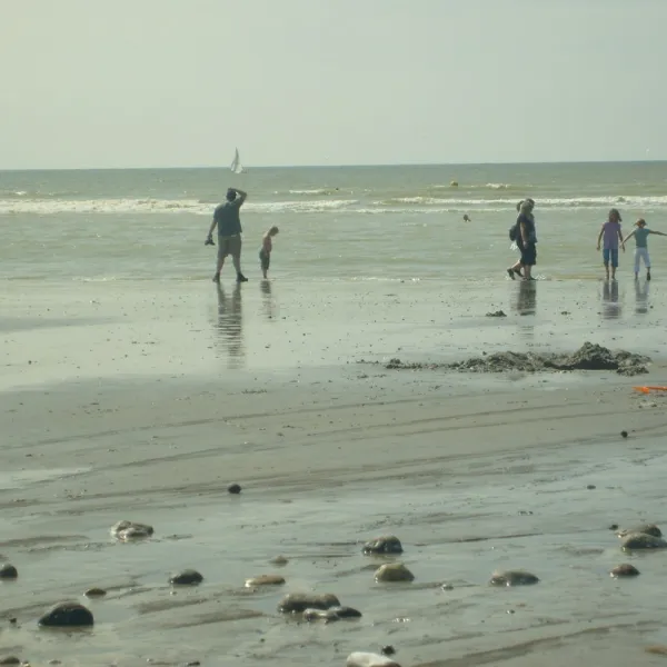les-galets-de-la-molliere-cayeux-sur-mer-kn8up