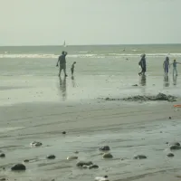 les-galets-de-la-molliere-cayeux-sur-mer-kn8up