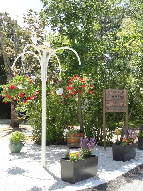 camping-les-pins-saint-palais-de-la-mer-fiyiz