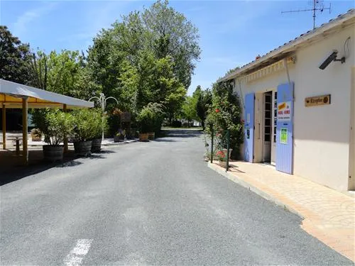 camping-les-pins-saint-palais-de-la-mer-hbpwr