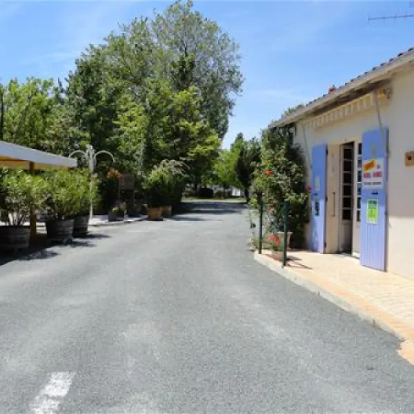 camping-les-pins-saint-palais-de-la-mer-hbpwr