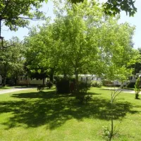 camping-les-pins-saint-palais-de-la-mer-kzhla