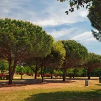 campingin-stella-maris-umag-umag-b4uo5